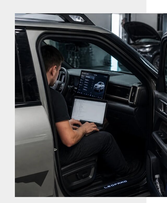 Русификация BYD Leopard 3 в Вязниках по цене от 21259 р. | ФастМобиль-Взн
